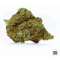 AMNESIA PLATINUM